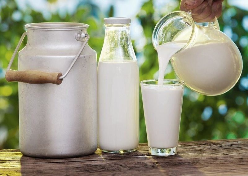 Sữa tươi là loại sữa có nguồn gốc từ các loại động vật như bò sữa, cừu, dê