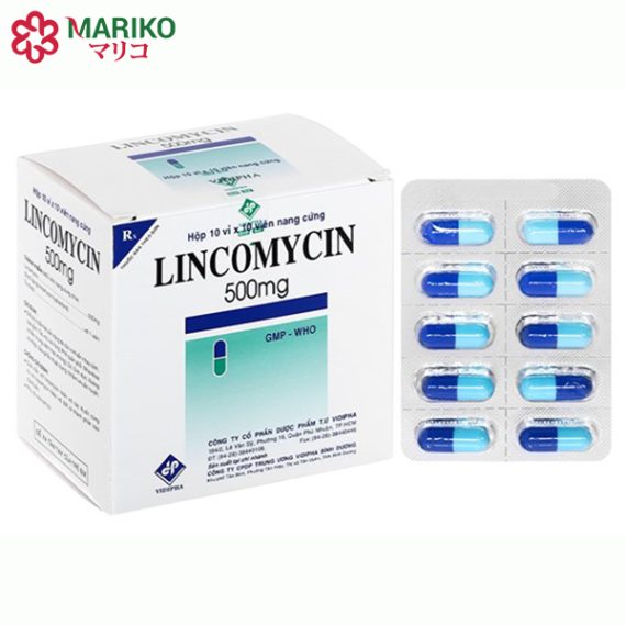 Lincomycin 500mg thuốc kháng sinh kháng khuẩn