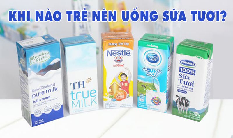 Uống sữa tươi thế nào để bé tăng cân tốt