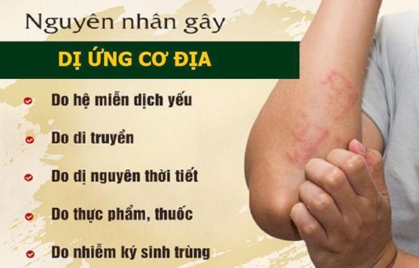 Dị ứng bắt đầu khi hệ thống miễn dịch nhầm lẫn một chất bình thường vô hại thành một chất nguy hiểm