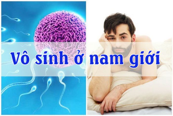 Vô sinh nam là tình trạng nam giới không còn khả năng sinh sản, sản xuất không đủ tinh trùng hoặc số lượng tinh trùng ít gây cản trở quá trình thụ tinh.